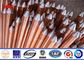 CE UL467 Custom Copper Ground Rod Good Conductivity Used In The Grounding Device nhà cung cấp