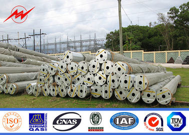 Gr 65 11,9m 33kv Ba cực truyền tải điện cực cho dự án trên cao